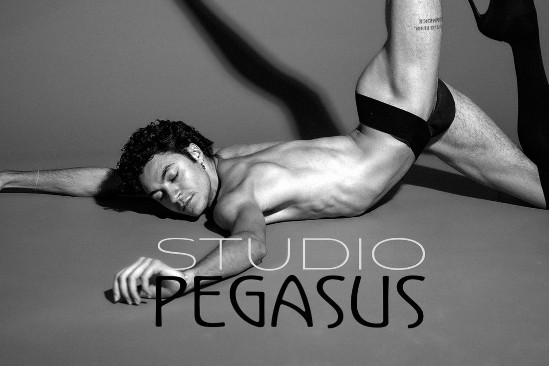 Studio Pegasus queer photographer Los Angeles