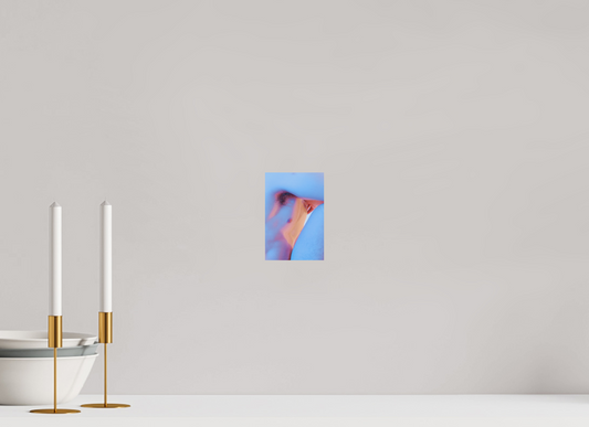 Main image Thicket - Fine Art Photography Print