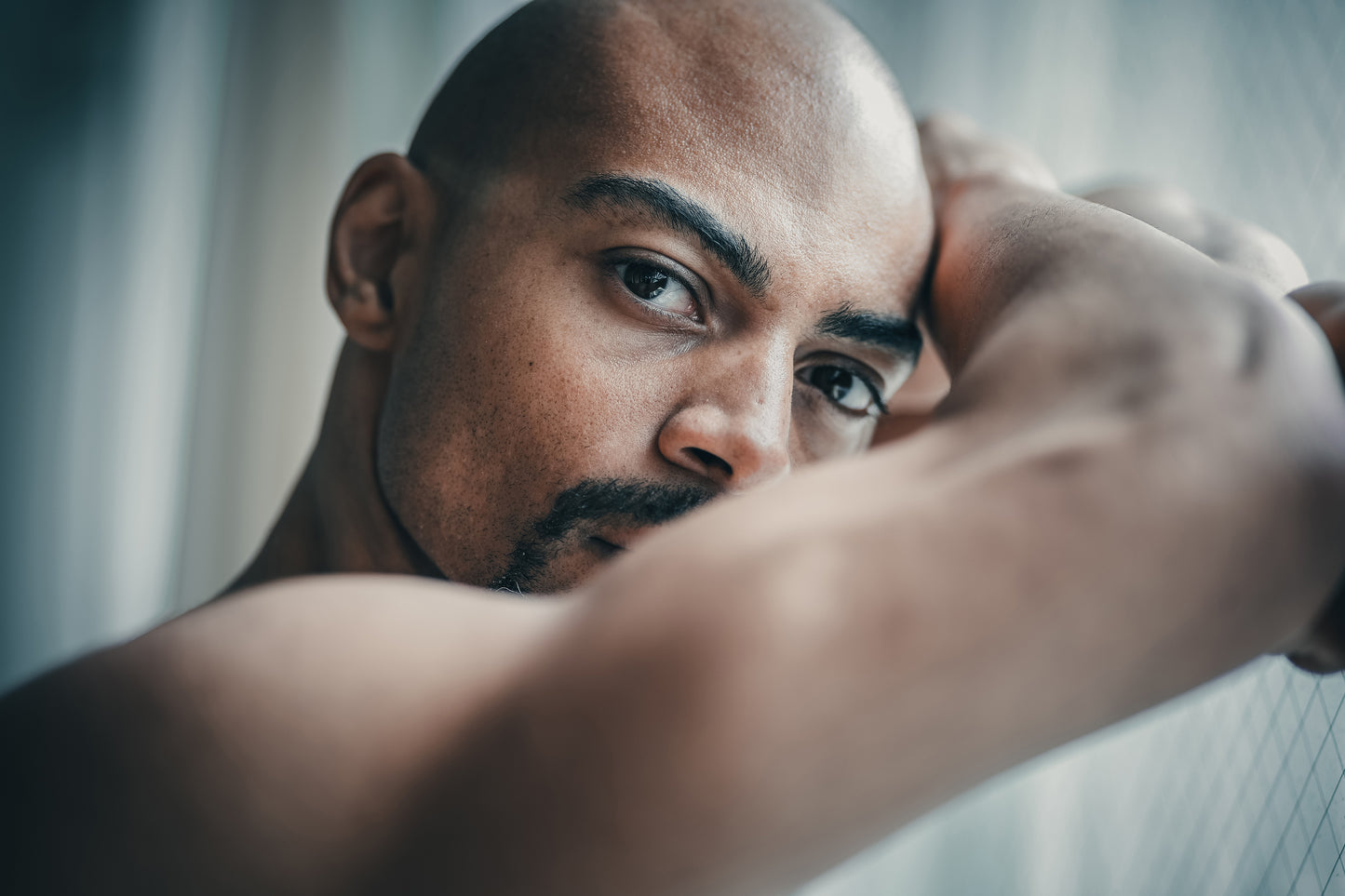 Happy Trail, Volume 5 - Limited Print Edition