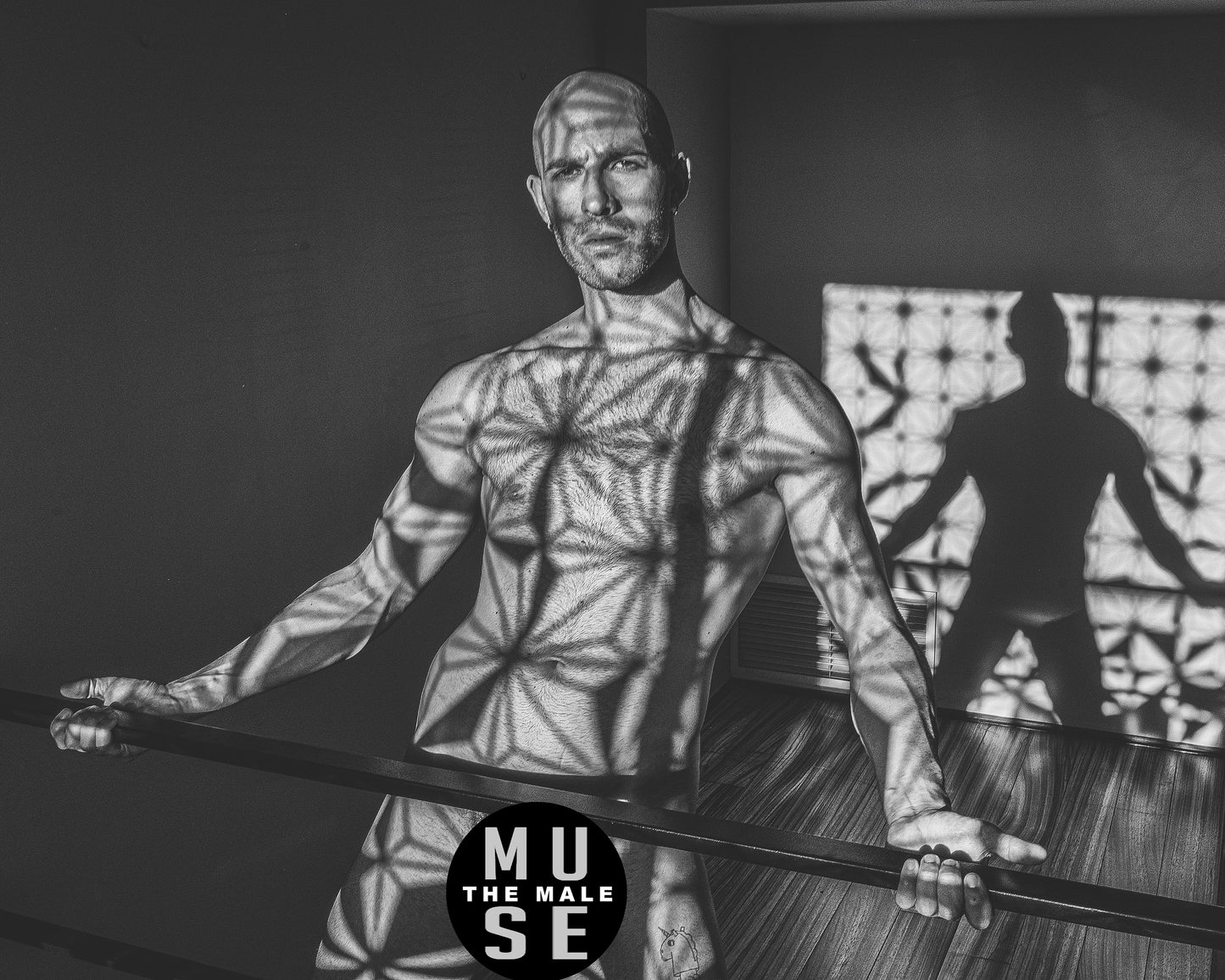 male art nudes marc spice shadowplay