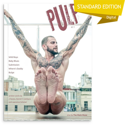 Pulp, Issue 7 - Standard Digital Edition