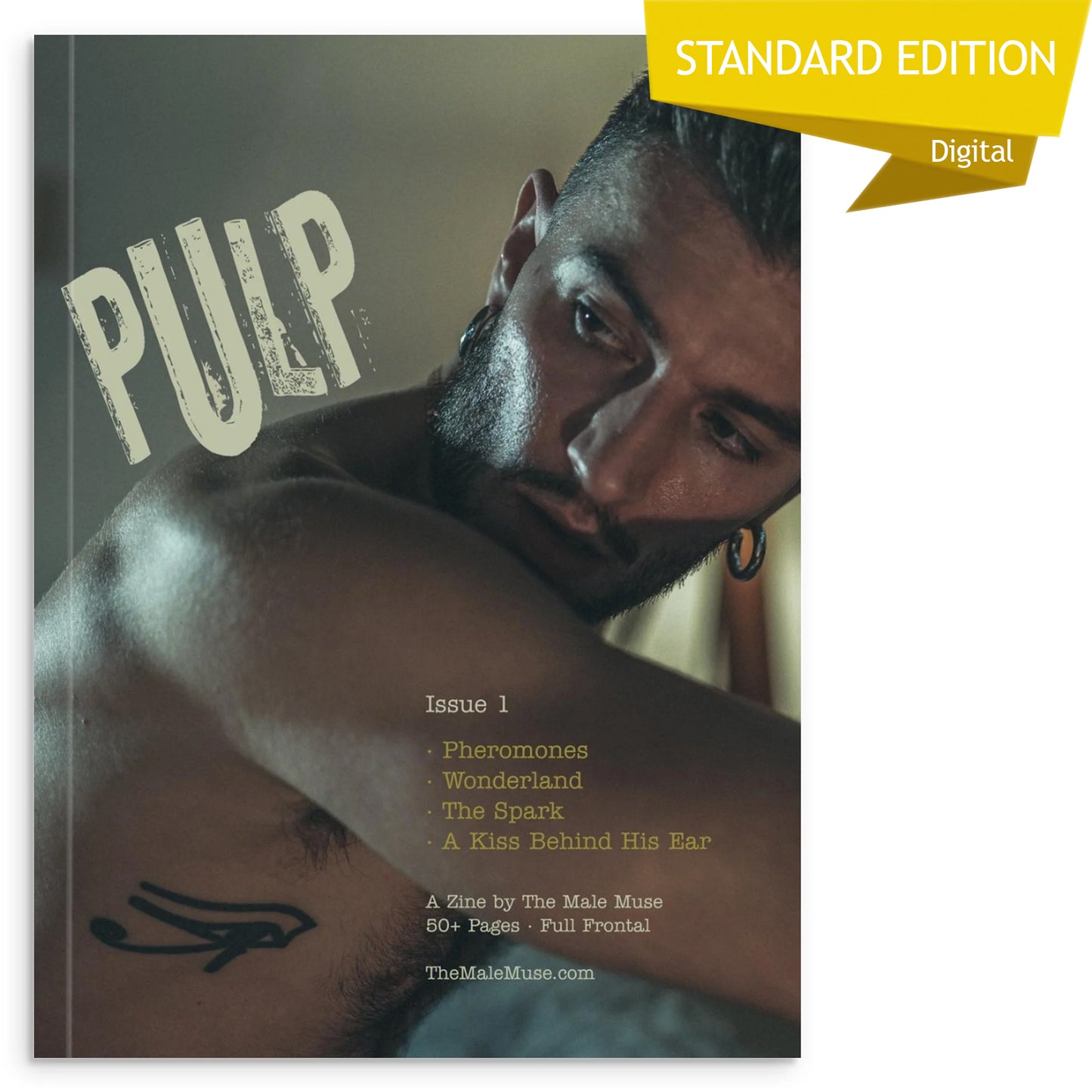 Pulp, Issue 1 - Standard Digital Edition
