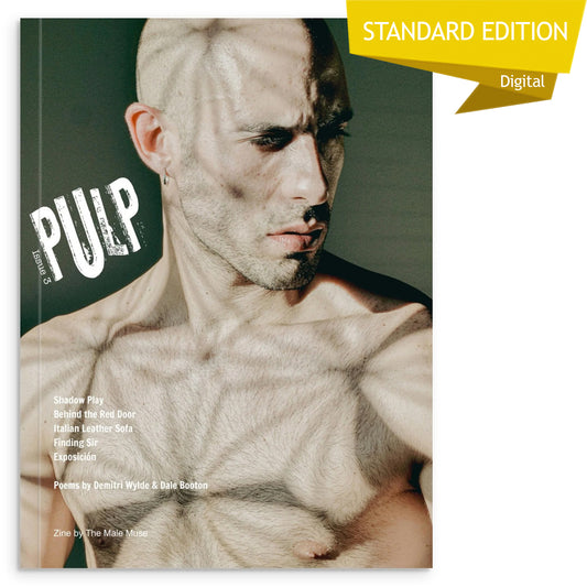 Pulp, Issue 3 - Standard Digital Edition