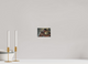 6 x 4″, Fuji Matte Anticipation - Fine Art Print