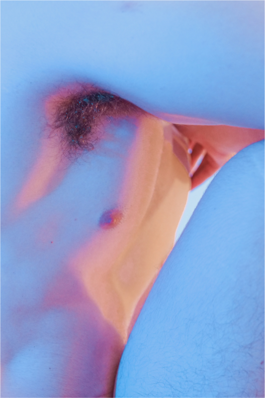 Main image Thicket - Fine Art Photography Print