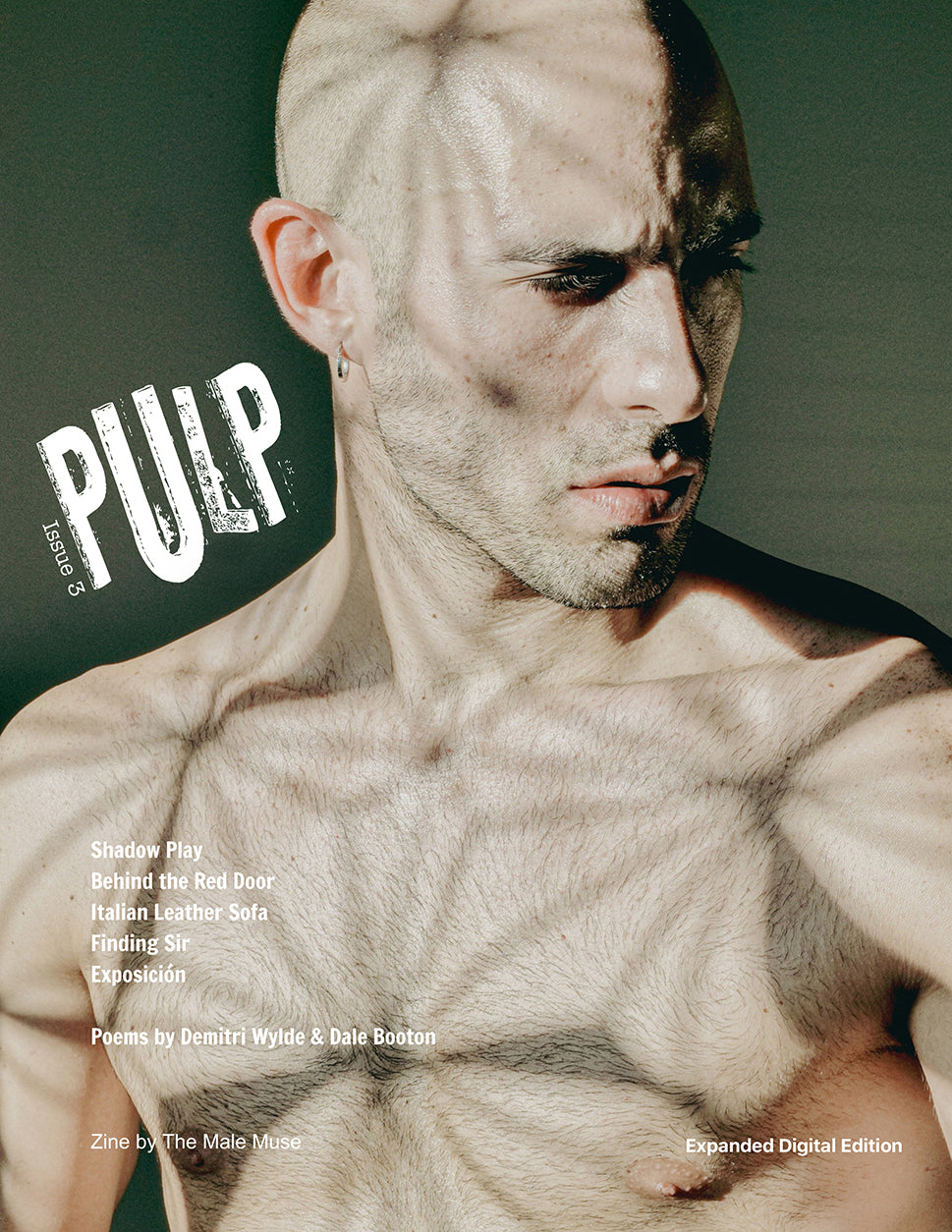 Pulp, Issue 3 - Limited Print Edition