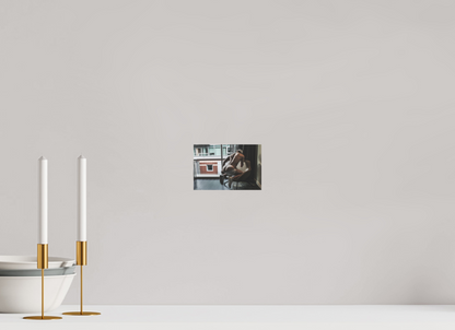 6 x 4″, Giclee Pearl The Show-Off - Fine Art Photography Print