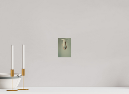 4 x 6″, Giclee Pearl Weightless - Number Three - Fine Art Print