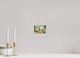 6 x 4″, Fuji Matte Cleaning Day - Fine Art Photography Print